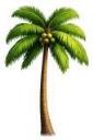 Coconut Consulting Inc.